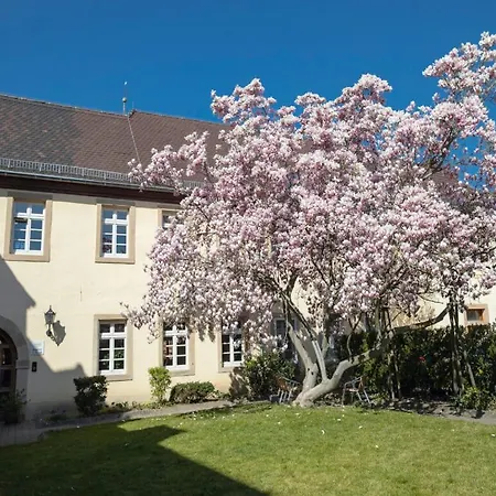 & Cafe Ritter Von Boehl Deidesheim